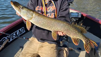 Wisconsin Fishing Charters | 4 Hour Charter Trip